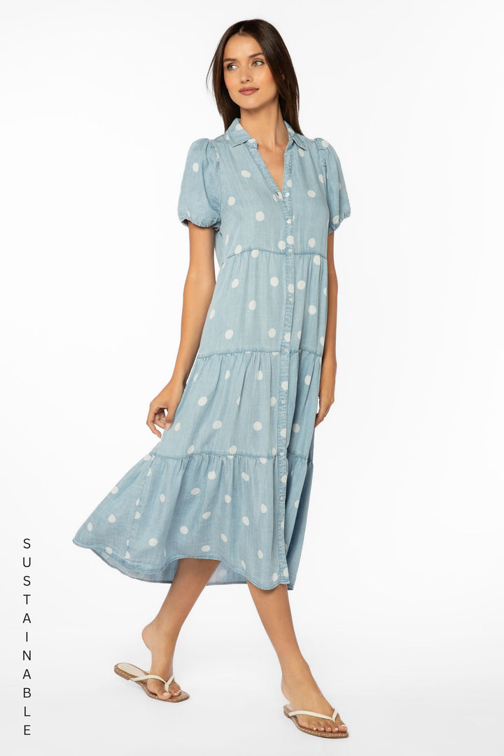 Santiago Dotted Dress - Dresses - Velvet Heart Clothing