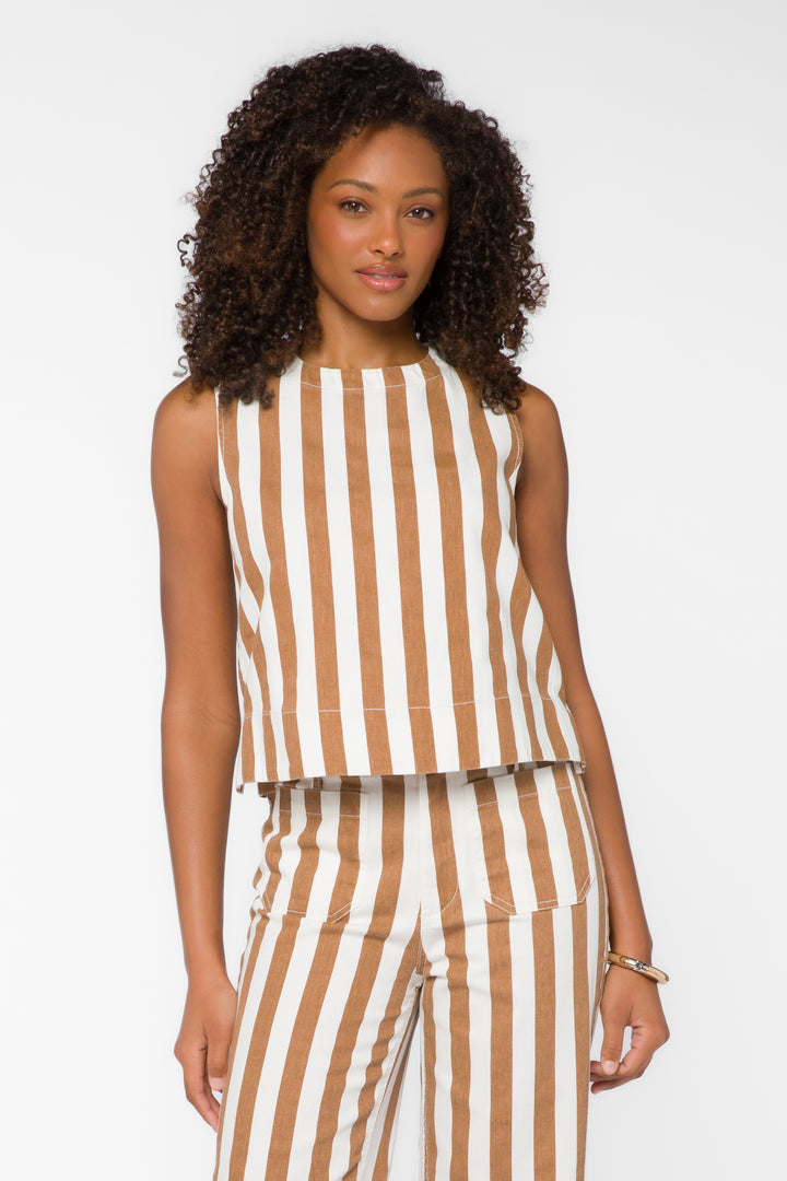 Anna Taupe Stripe Top