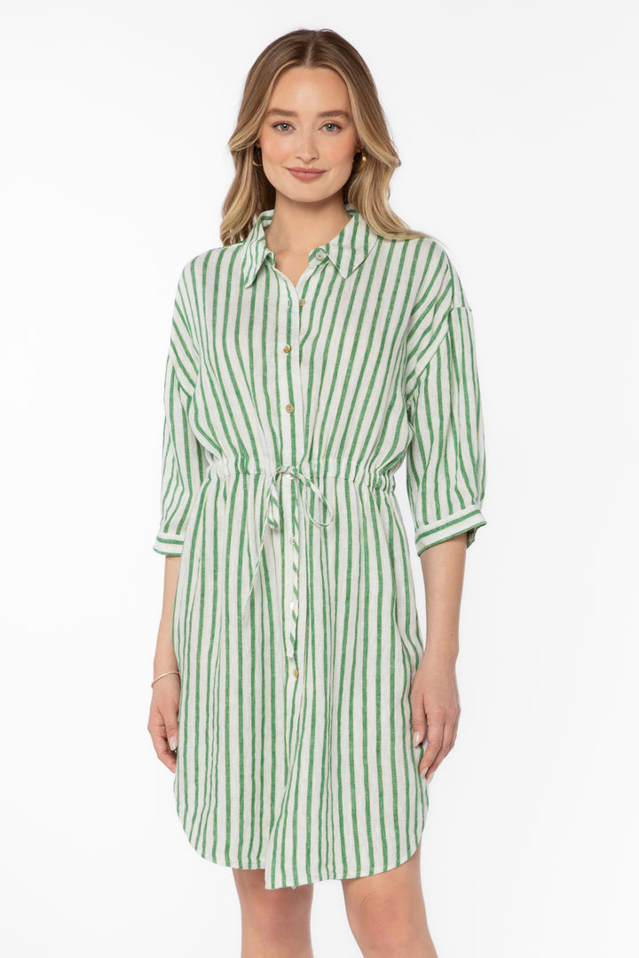 Jenneva Green Stripe Dress - Dresses - Velvet Heart Clothing