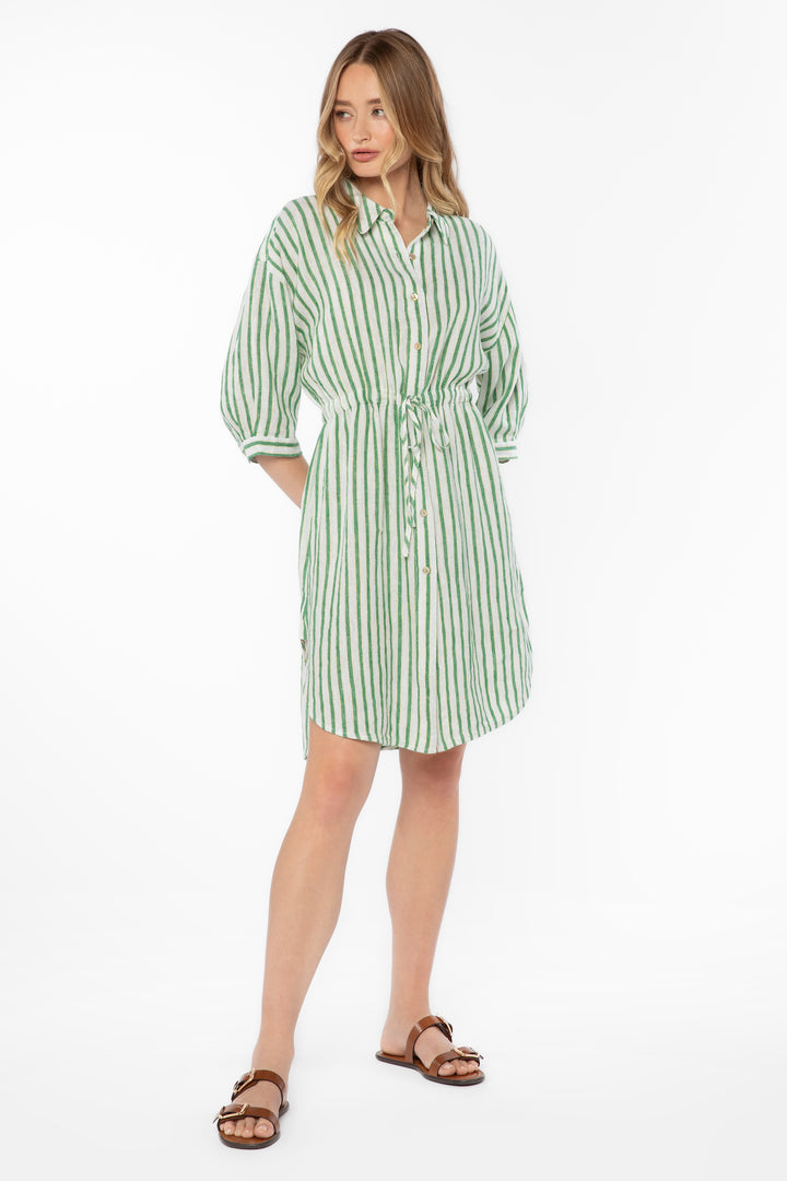 Jenneva Green Stripe Dress - Dresses - Velvet Heart Clothing