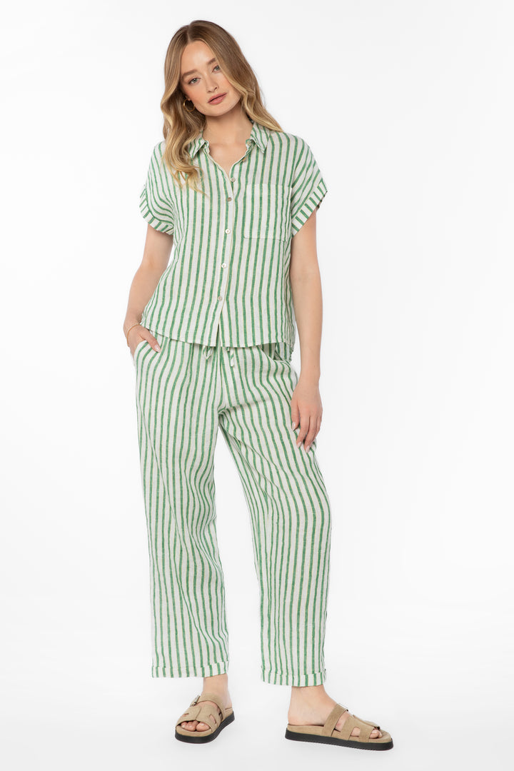 Pierre Green Stripe Pants - Bottoms - Velvet Heart Clothing