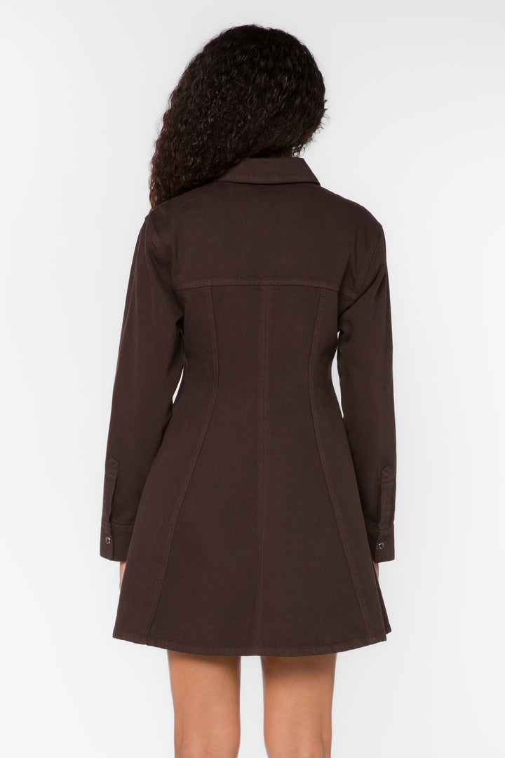 Zeana Walnut Mini Denim Dress