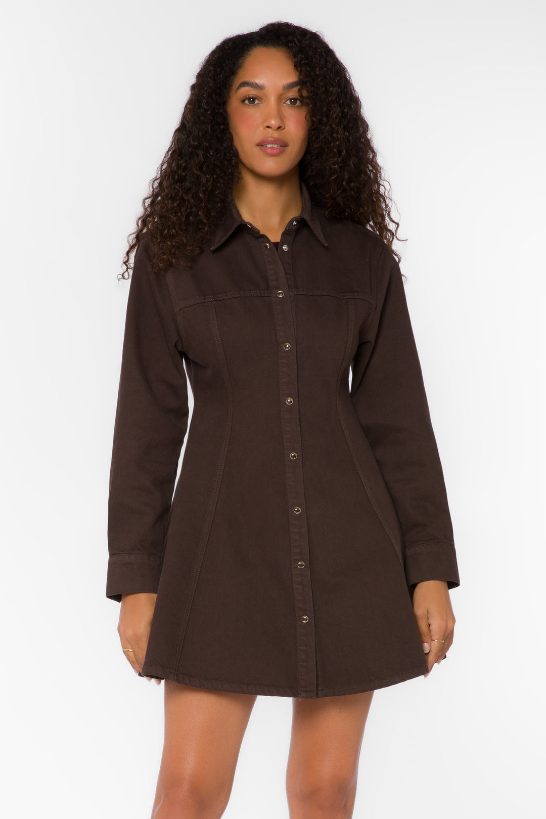 Zeana Walnut Mini Denim Dress